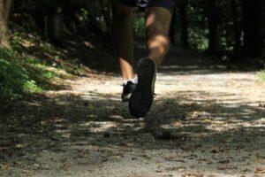 Was bringt Lauftraining? - Läufer im Wald